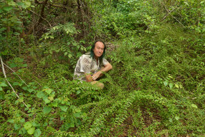 Patrick Blanc in a vegetative population of Phyllanthus taxodiifolius with arching stems rooting at their top end like many Rubus, Khon Kaen, Thailand, June 2016