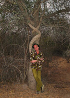 Patrick Blanc in deciduous forest, Jaipur, India, 2006