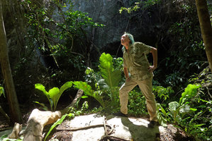 Patrick Blanc in dry forest gap among saxicolous bird nest Anthurium fendleri, Tayrona NP, Magdalena, Colombia, Nov.. 2016