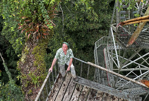 Patrick Blanc in forest canopy at the 30 m high platform, just above a main branch covered by epiphytes in the tower constructed in a Ceiba pentandra, Sacha forest reserve, Orellana, Ecuador, Aug. 2021