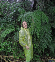 Patrick Blanc in forest on a rainy day under Cyathea podophylla, Taipei, Taiwan, March 2016