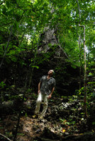 Patrick Blanc in forest understory, Lipuun Point, Palawan, Philippines, May 2011