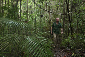 Patrick Blanc in forest understory on karst, Waigeo, Raja Ampat, Papua, May 2025