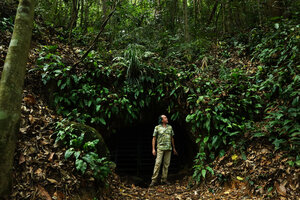 Patrick Blanc in front of a cave entrance, surrounded by a dense population of Tectaria singaporiana, Bukit Timah NR, Singapore, Nov. 2023
