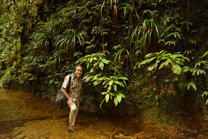 Patrick Blanc in front of a damp vertical granitic cliff covered with Xyris grandis and Phyllagathis cf. tuberculata, Harau valley, Sumatra, Dec. 2016