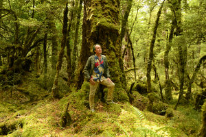 Patrick Blanc in front of a huge Nothofagus fusca trunk in the mossy forest, Fjordland NP, New Zealand, Jan 2013