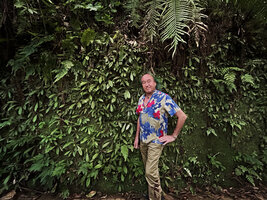 Patrick Blanc in front of a rocky vertical bank covered with a dense population of Acrotrema intermedium, Kitulgala, Sri Lanka, Nov. 2024