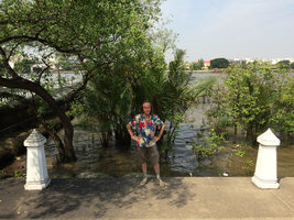 Patrick Blanc in front of a small remnant patch of mangrove in the city centre along the Chao Phraya, Bangkok, Jan 2016
