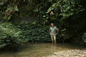 Patrick Blanc in front of a vegetative clump of a rheophytic Elatostema, Putao, Kachin, Myanmar, Dec. 2017