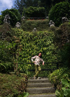 Patrick Blanc in front of a waterfall covered by Iris japonica, Villa Carlotta, Como lake, Italy, June 2015