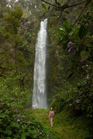 Patrick Blanc in front of a waterfall with the invasive Eupatorium sordidum along the trail, Ambua, Tari, 2000 m asl, Papua New Guinea, March 2016.jpg