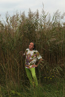 Patrick Blanc in front of Phragmites australis, Camargue, France, Sept. 2017