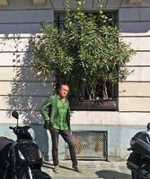 Patrick Blanc in front of tall Nerium oleander growing in a very small container, Ile Saint Louis, Paris, March 2021