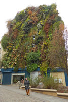 Patrick Blanc  in front of the Oasis d'Aboukir by freezing temperatures on 1st January 2017, Paris