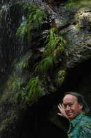 Patrick Blanc in front of the vertical cliff covered by Hydrostachys angustisecta, Prince Bernhard waterfall, Udzungwa NP, Tanzania, Jan. 2021