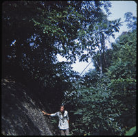 Patrick Blanc in Khao Yai National Park, Thailand, 1972