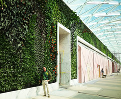 Patrick Blanc in Koweit International Tennis Complex, KITC, at the base of a part of the 410 m long Vertical Garden at the end of plant installation, Jan. 2020
