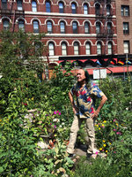 Patrick Blanc in La Guardia Corner Gardens, New York, July 2016