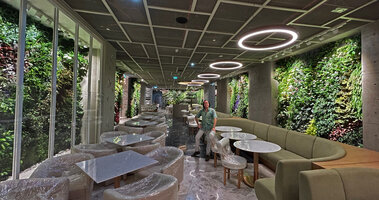 Patrick Blanc in Matthew Kenney restaurant just after plant installation, Printemps, Doha, March 2023
