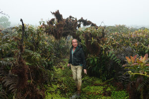 Patrick Blanc in Miconia robinsoniana and fern altitude shrubland, El Puntudo, Santa Cruz, Galapagos, Aug. 2021