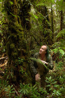 Patrick Blanc in mossy forest, Kumul, 2800 m asl, Mount Hagen, Papua New Guinea, March 2016