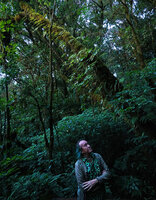 Patrick Blanc in mountain forest understory observing the epiphytic Neohymenopogon parasiticus with bright white bracts, Doi Inthanon, Thailand, Oct. 2023