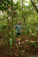 Patrick Blanc in riverine forest, approaching entire leaf seedlings of Syagrus orinocensis, Lagos de Menegua, Puerto Lopez, Meta, Colombia, Oct. 2016