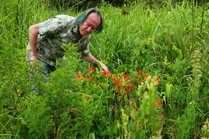 Patrick Blanc in savanna, observing Gloriosa superba in full bloom and the climbing Stephania abyssinica, Katavi NP, Tanzania, Jan. 2021