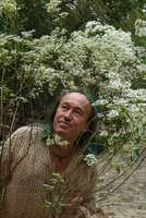 Patrick Blanc inside a big shrub of Euphorbia hypericifolia in a garden, Kanchanaburi, Thailand, Dec 2015
