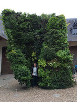 Patrick Blanc inside his green spiral, Chaumont sur Loire, France, May 2015