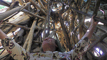 Patrick Blanc inside the cathedral root system of a Ficus altissima, Tangkoko, Sulawesi, Aug. 2015