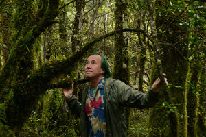 Patrick Blanc inside the mossy forest,Tangariro, New Zealand, Dec 2012