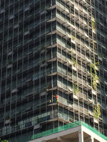 Patrick Blanc inspecting the climbing plants few months after their installation on Le Nouvel, Kuala Lumpur, March 2015