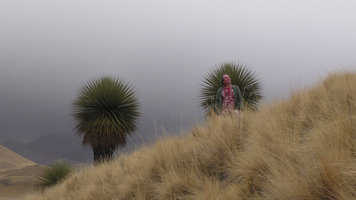 Patrick Blanc in Stipa ichu puna and two vegetative Puya raimondii, 4200 m, Turkani, Puno, Peru, Aug 2014