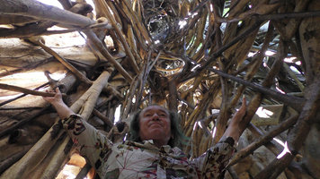 Patrick Blanc in the cathedral root system of a Ficus altissima, Tangkoko, Sulawesi, Aug. 2015
