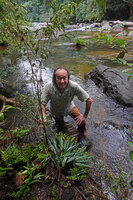 Patrick Blanc in the fast flowing forest river habitat of Lagenandra thwaitesii Sinharaja, Sri Lanka, Nov. 2024