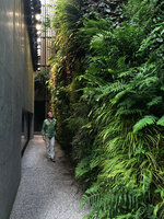 Patrick Blanc in the green canyon at Il Sereno, Como Lake, Italy, June 2021