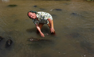Patrick Blanc in the habitat of the rheophytic Aponogeton boivinianus, Saharenana river, Madagascar, Aug. 2024