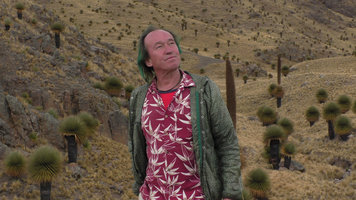 Patrick Blanc in the largest Puya raimondii population, Turkani, Puno, Peru, Aug 2014