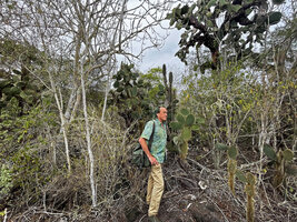 Patrick Blanc in the Opuntia galapageia var. gigantea rocky bush, way to Tortuga Bay, Santa Cruz, Galapagos, Aug. 2021