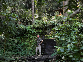 Patrick Blanc in the ruins of a forest temple with wall covered by species of Ferns, Schismatoglottis, Elatostema, Cyrtandra, Begonia, Ayung River Gorge, Ubud, Bali, Aug. 2026