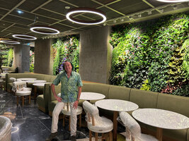 Patrick Blanc, just after the installation of his Vertical Gardens in Matthew Kenney restaurant at Printemps Doha, March 2023