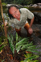 Patrick Blanc looking at a clump of Lagenandra thwaitesii Sinharaja, Sri Lanka, Nov. 2024