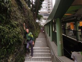 Patrick Blanc looking at Adiantum malesianum growing between the stones of the wall along the escalator, Hong Kong, April 2016