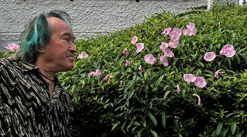 Patrick Blanc looking at a large flowered form of Calystegia pubescens, Tokyo, Oct. 2025