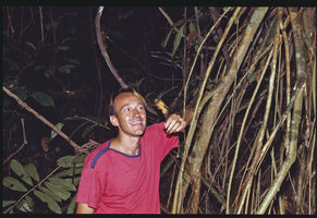 Patrick Blanc looking at a Pararistolochia flower, Campo, Cameroon, 1991