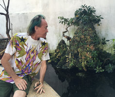 Patrick Blanc looking at a rock covered by a tightly creeping velvety leaved form of Elatostema repens in a temple, Hoi An, Vietnam, Oct. 2018