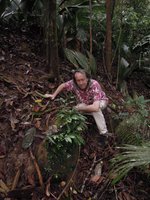 Patrick Blanc looking at a rock covered by Codonoboea craspedodroma, Endau Rompin, Malaysia, April 2015
