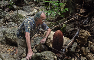 Patrick Blanc looking at a strange structure somewhat recalling Prototaxites from Early Devonian period, War Inkabom Waterfall, Batanta, West Papua, May 2025