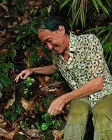 Patrick Blanc looking at Begonia blancii just after a heavy rain shower, El Nido, Palawan, Philippines